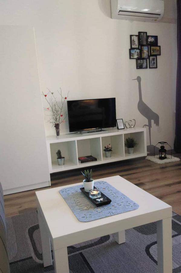 Appartement Studio Apartman Zdral à Daruvar Extérieur photo