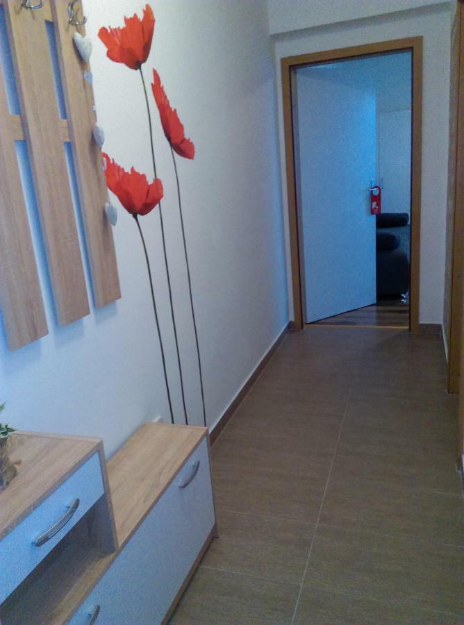 Appartement Studio Apartman Zdral à Daruvar Extérieur photo